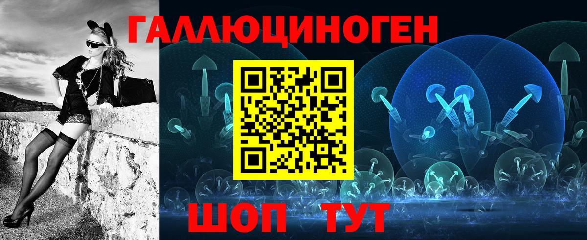 Галлюциногенные грибы Psilocybine cubensis Большой Камень